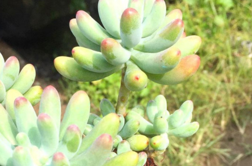 夏天伺候乙女心，记住这几点就稳了！